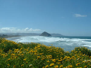 beach1-007.jpg