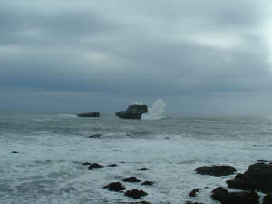 beach2006.jpg